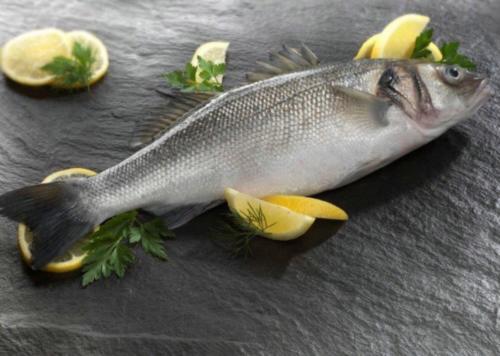 【包邮直发】海鲈鱼（2条装）1.44kg